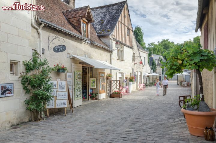 Immagine Veduta di un villaggio di Azay-le-Rideau, Loira (Francia) - Come si può vedere dall'immagine salta subito all'occhio un clima intimo e delicato, assolutamente lontano dal caos delle grandi città. Quando il periodo rinascimentale e umanista influenzò tantissimo la località di Azay-le-Rideau e il suo castello, anche i villaggi circostanti si plasmarono di conseguenza. Il risultato è fatto di case semplici e per certi versi quasi rurali anche se più signorili. Le stradine dallo spazio generoso accolgono chiunque per lunghe camminate e i colori chiari in panna e beje riflettono una quiete e una pace che appartengono da sempre alla città - © Evgeny Shmulev / Shutterstock.com