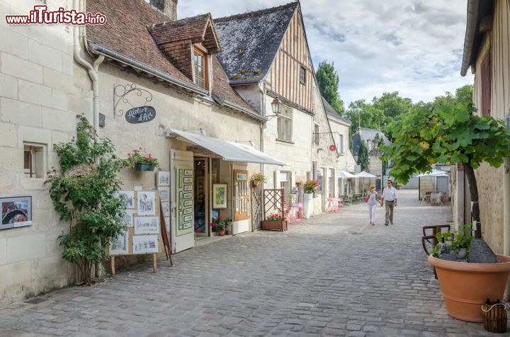 Immagine Veduta di un villaggio di Azay-le-Rideau, Loira (Francia) - Come si può vedere dall'immagine salta subito all'occhio un clima intimo e delicato, assolutamente lontano dal caos delle grandi città. Quando il periodo rinascimentale e umanista influenzò tantissimo la località di Azay-le-Rideau e il suo castello, anche i villaggi circostanti si plasmarono di conseguenza. Il risultato è fatto di case semplici e per certi versi quasi rurali anche se più signorili. Le stradine dallo spazio generoso accolgono chiunque per lunghe camminate e i colori chiari in panna e beje riflettono una quiete e una pace che appartengono da sempre alla città - © Evgeny Shmulev / Shutterstock.com