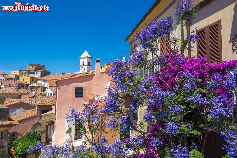 Immagine Il villaggio di Capoliveri sull'Isola d'Elba, Toscana. Affacciato sul Mar Tirreno, gode di un clima mediterraneo con inverni miti e estati non particolarmente afose.