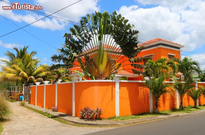 Immagine Villaggio di Flic en Flac, isola di Mauritius - Una tipica stradina con palme nel borgo peschereccio di Mauritius © Kletr / Shutterstock.com