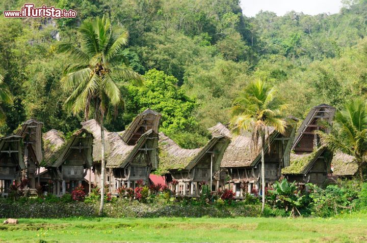 Immagine Un villaggio della regione di Tana Toraja, nella provincia del Sulawesi Meridionale, in Indonesia, con le tradizionali case con il tettoa  forma di barca, dette tongkonan - foto © Rafal Cichawa / Shutterstock.com