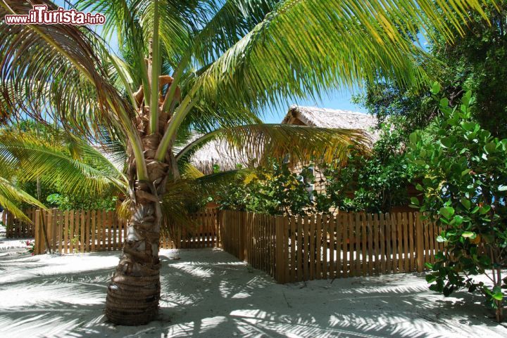 Immagine Villaggio a Roatan, Honduras - Uno dei tipici villaggi che si trovano nell'isola di Roatan dove soggiornano turisti provenienti da ogni parte del mondo © Ramunas Bruzas / Shutterstock.com