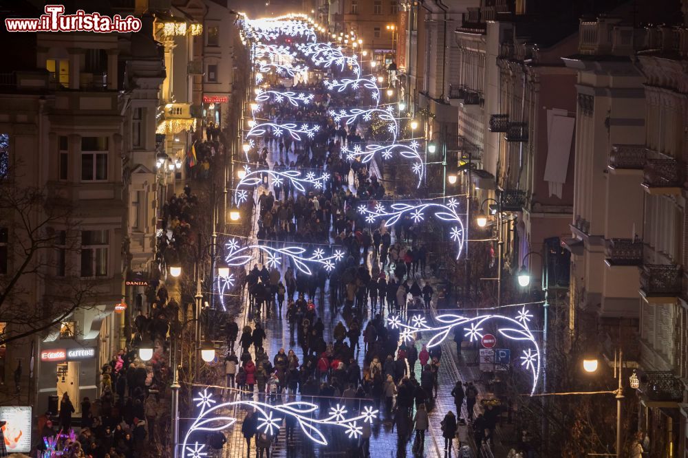 Immagine Vilnius, la capitale della Lituania, apre ogni anno la stagione delle feste con l’accensione dell’albero di Natale nella Piazza della Cattedrale. - © Saulius Ziura