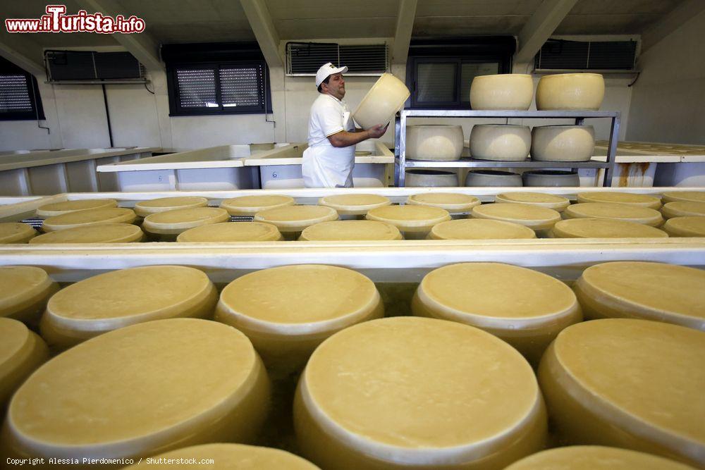 Immagine La visita ad un caseificio di Fidenza dove viene prodotto il tipico Parmigiano Reggiano, prodotto d'eccellenza della regione Emilia-Romagna - © Alessia Pierdomenico / Shutterstock.com