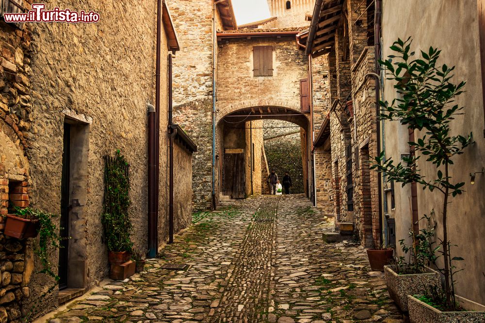 Immagine Visita al borgo di Torrechiara in Emilia