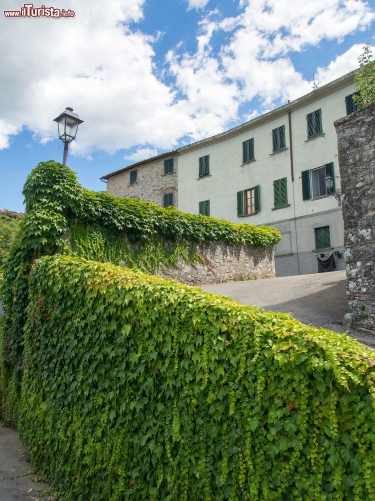 Immagine Visita al centro storico di Radda in Chianti: una villa toscana