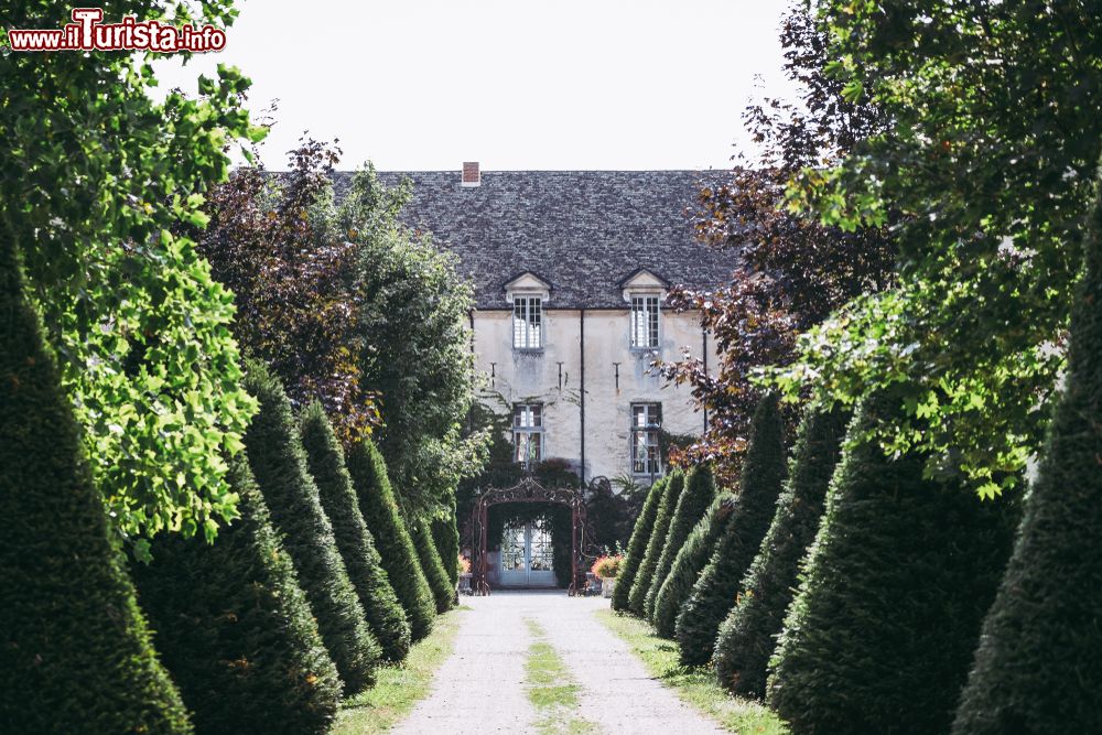 Immagine Visita al maniero di Savigny les Beaune in Francia, siamo in Borgogna