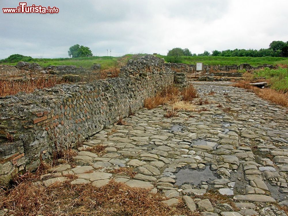 Immagine Visita al sito archeologico di Sibari in Calabria - © Mboesch - CC BY-SA 4.0, Wikipedia