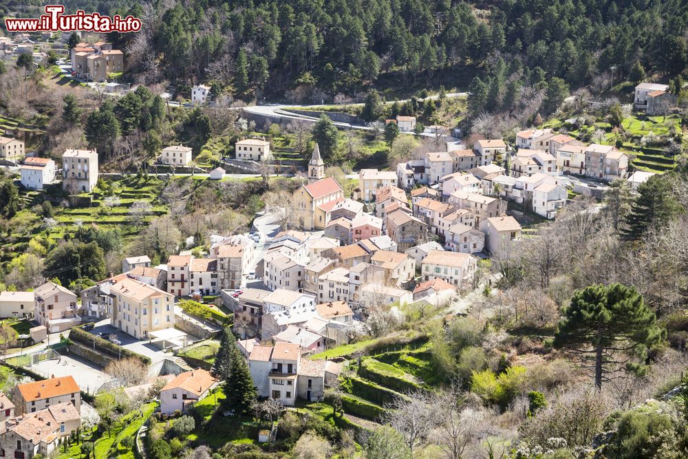 Immagine Vista aerea del borgo di Vivario in Corsica