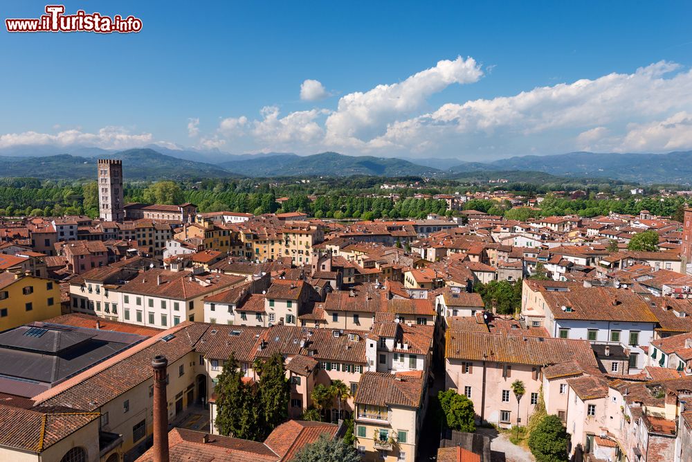 Immagine Vista aerea del centro storico di Lucca, Toscana.