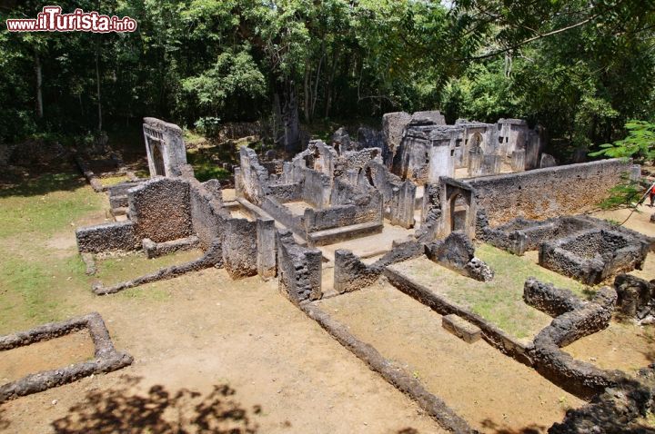 Immagine Le rovine dell'antica città swahili di Gede (Kenya) si trovano a circa 15 km dalla città di Malindi, in mezzo alla foresta presso la moderna località di Gede - © Przemyslaw Skibinski / Shutterstock.com