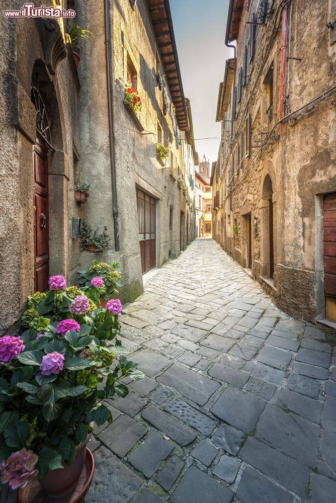 Immagine Vista del borgo di Castel del Piano, si trova in Toscana nella zona del Monte Amiata