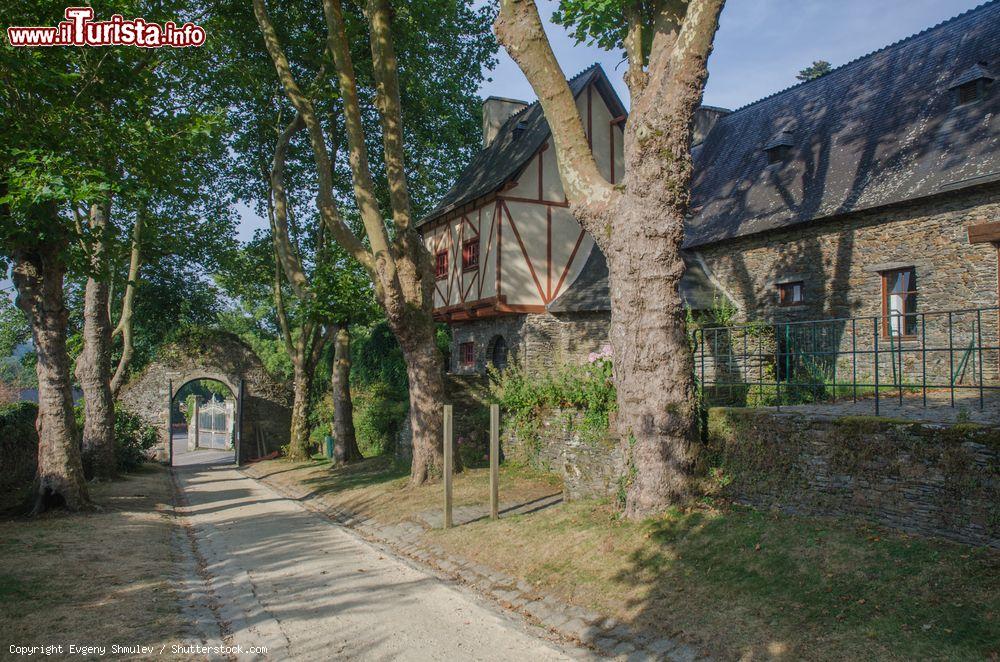 Immagine Vista del Castello di Rochefort-en-Terre in Bretagna: Come tanti borghi dell’area, Rochefort ha un suo castello, fondato nel XII secolo e ricostruito nel XVII, rivalutato pienamente nel Novecento dal pittore statunitense Alfred Klots, il quale è riuscito ulteriormente a valorizzarlo attirando in città diversi esponenti dello sfaccettato panorama artistico. Non visitabile a eccezione del parco che lo circonda (aperto tutti i giorni dalle 9.30 alle 18.30) e del cortile con il Museo Naïa (in cui sono esposte preziose opere d’arte), lo si può vedere più da vicino compiendo liberatorie escursioni che partono dalle rive del lago del Moulin Neuf per girare tutt’intorno alla località: è conosciuto come “il percorso blu” e intrattiene l’instancabile camminatore per almeno due ore, alla fine delle quali si saranno percorsi più di 6 chilometri. Questo tour è assai consigliato per evitare le strade più battute, dove si riversano i turisti creando potenzialmente qualche calca poco gradita a chi nella natura e tra i boschi coglie l’occasione di meditare assaporando un po’ di pace, chimera delle grandi realtà urbane. - © Evgeny Shmulev / Shutterstock.com