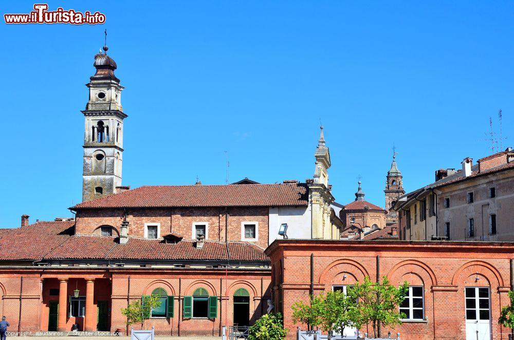 Immagine Vista del centro storico di Racconigi in Piemonte, famoso per il Castello dei Savoia - © maudanros / Shutterstock.com