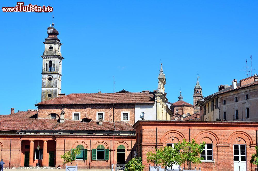 Le foto di cosa vedere e visitare a Racconigi