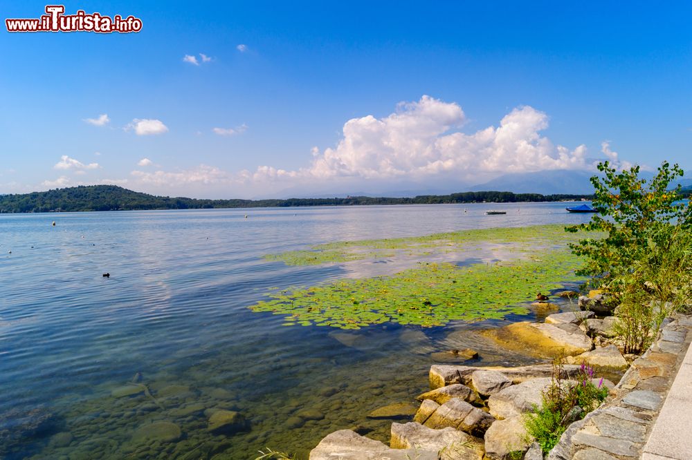 Immagine Vista del Lago di Viverone in Piemonte