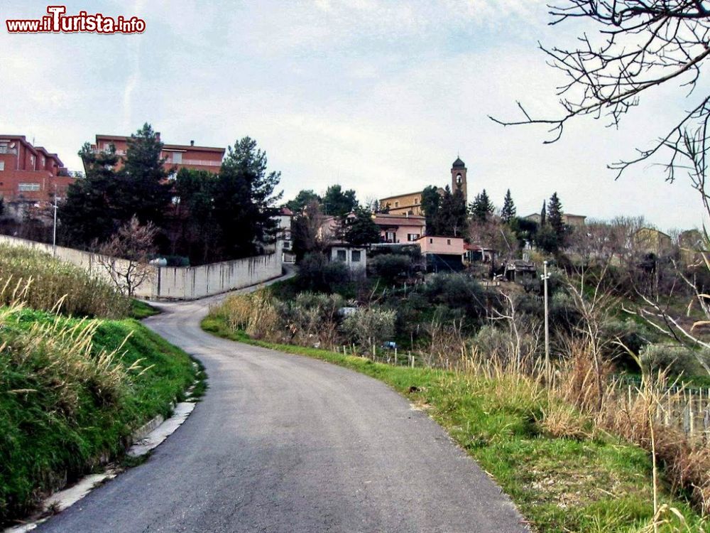 Immagine Vista della cittadina di San Paolo di Jesi sulle colline marchigiane della provincia di Ancona - © Elio Maltoni / mapio.net