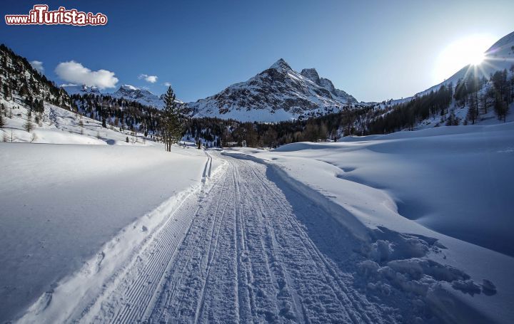 Immagine Vista della Val Viola al tramonto: siamo a pochi chilometri di distanza da Bormio - © Michela Garosi / The Travelover