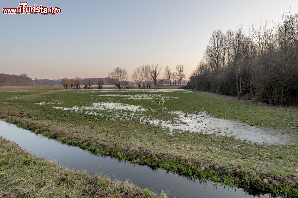 Immagine Vista invernale delle campagne intorno Morimondo in Lombardia