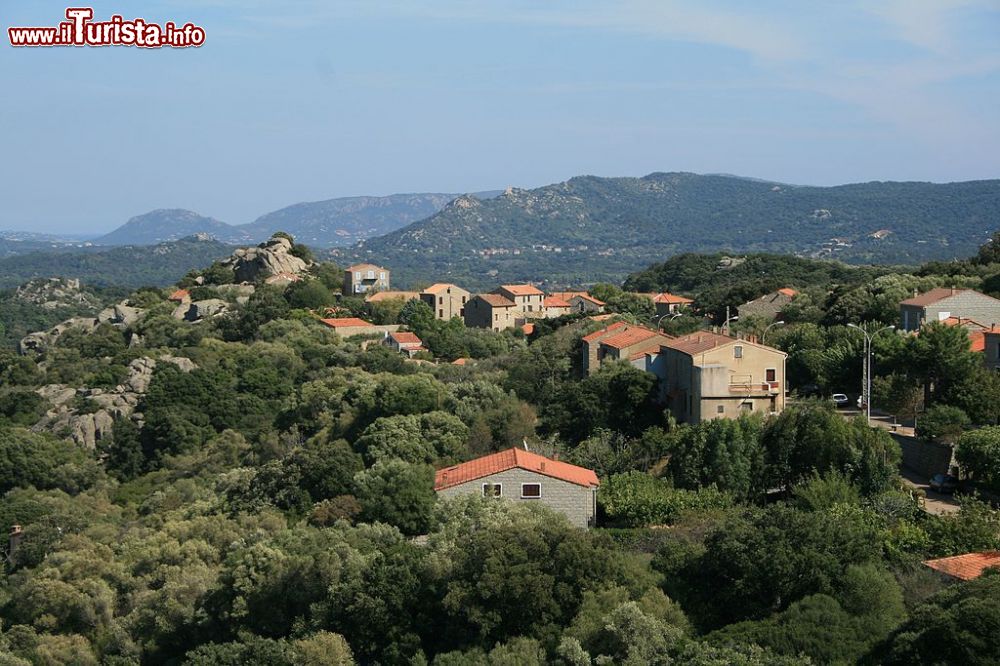 Immagine Vista panoramica del borgo di Sotta nel sud della Corsica - © Commune de Sotta - CC BY-SA 4.0, Wikipedia