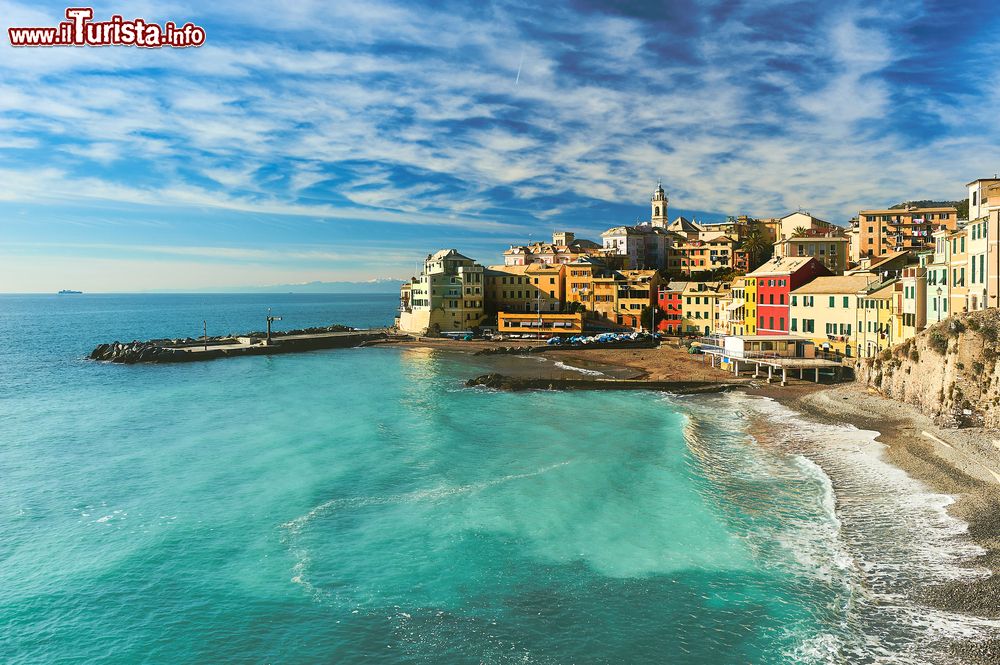 Immagine Vista panoramica del borgo marinaro di Bogliasco in Liguria