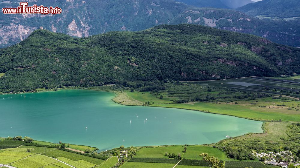 Immagine Vista panoramica del lago Caldaro lungo la Strada del Vino, Trentino Alto Adige. Immerso in  una vallata verde, lo specchio d'acqua di Caldaro è di un soprendente color smeraldo.