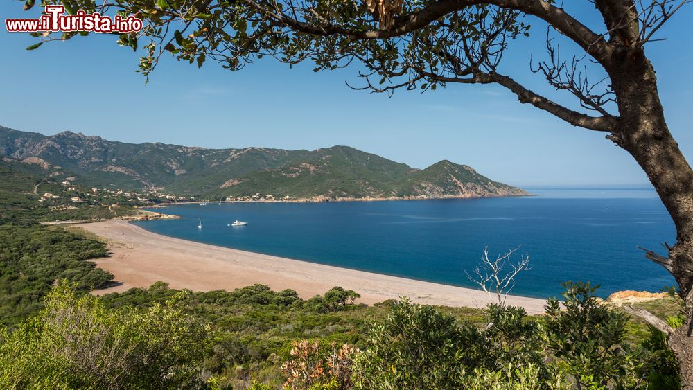 Immagine Vista panoramica della spiaggia di Galeria, costa ovest della Corsica