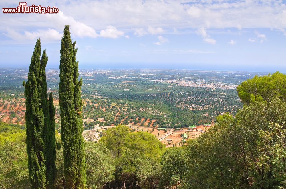 Immagine Vista panoramica di Fasano fotografata dalle murge pugliesi.