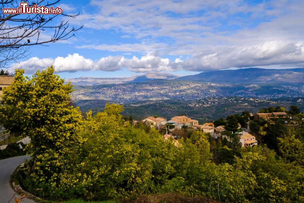 Immagine Vista panoramica di Tanneron in Costa Azzurra, sud della Francia. Il villaggio è famoso per la fioritura della mimose.