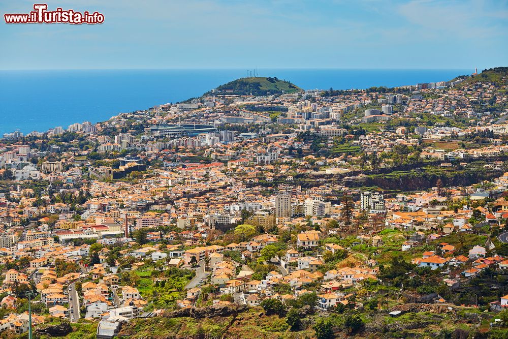 Immagine Vista panoramica su Funchal, che con i suoi 115.000 abitanti è la città principale di Madeira (Portogallo).