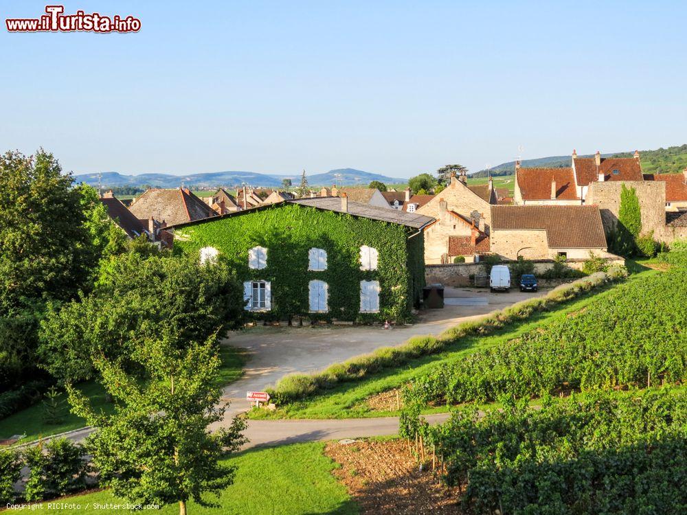 Immagine Vista spettacolare del borgo di Meursault in Francia, famosa per i suoi vini. Siamo in Borgogna - © RICIfoto / Shutterstock.com