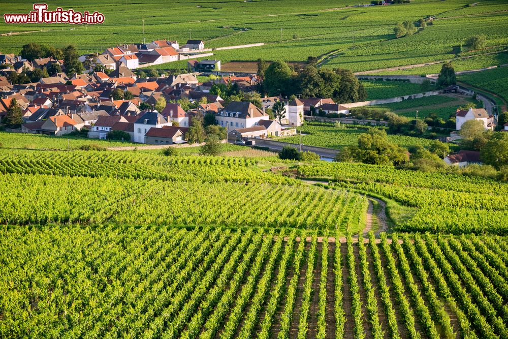 Le foto di cosa vedere e visitare a Beaune