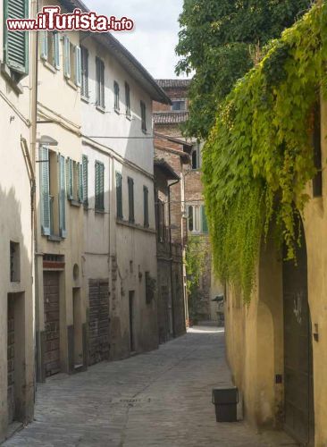 Immagine Viuzza del centro storico di Città di Castello, Umbria, Italia. Le stradine di Città di Castello raccontano storie senza tempo racchiuse fra il verde delle colline e l'azzurro del cielo di questo territorio sospeso fra cultura umbra e etrusca.