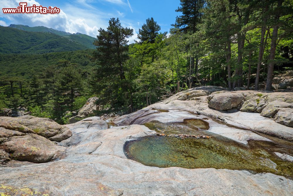 Immagine Vizzavona, paesaggio montano con le Cascate degli Inglesi (Corsica). E' il luogo ideale per chi desidera trascorrere una giornata al fresco presso le pozze che il torrente Agnone forma durante la sua corsa verso valle.