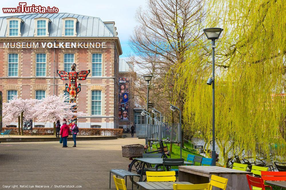 Immagine Volkenkunde Museum e alberi in fioritura a Leiden, Olanda. Per gli appassionati di archeologia è un luogo da non perdere: qui potrete infatti fare un viaggio senza tempo fra le civiltà del presente e del passato - © Nataliya Nazarova / Shutterstock.com