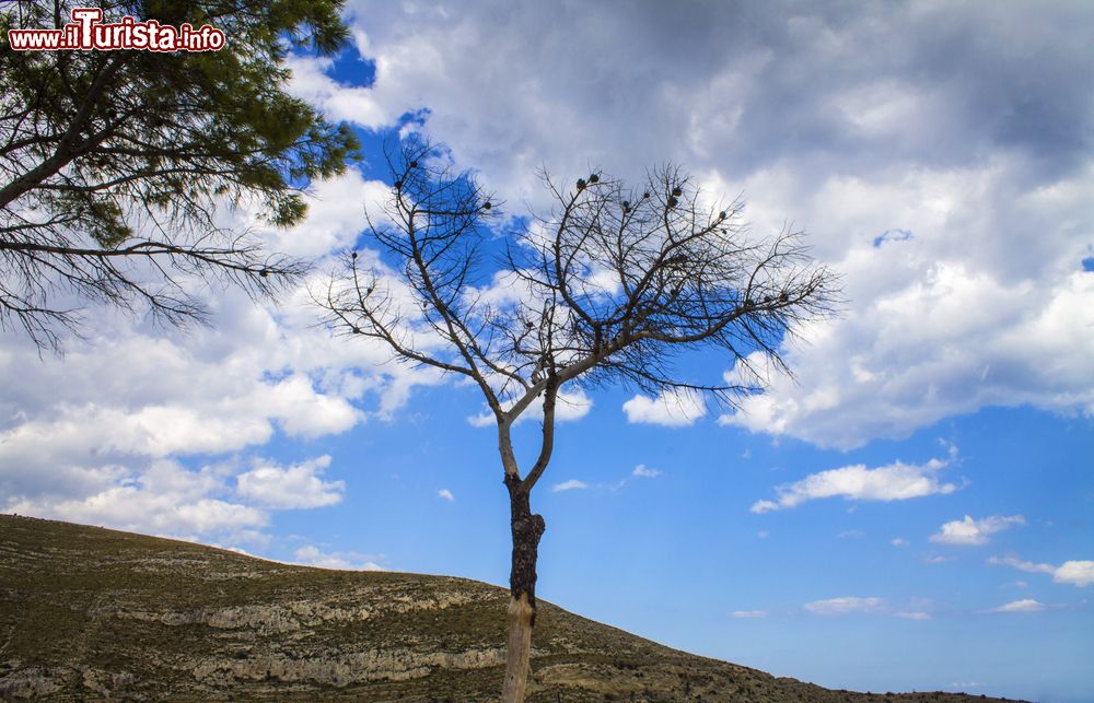 Immagine Vsita alla Riserva Naturale Orientata di Cavagrande del Cassibile in Sicilia