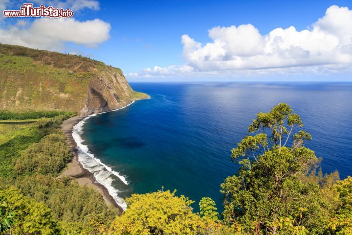 Le foto di cosa vedere e visitare a Isola di Hawaii