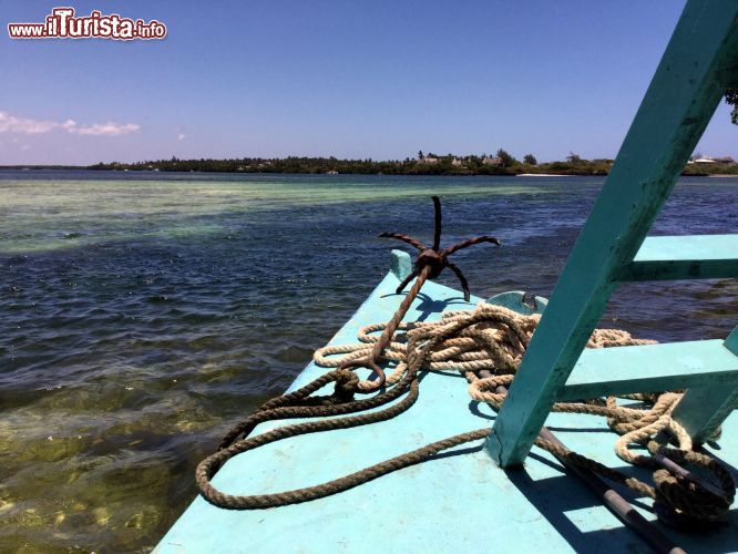 Immagine Watamu Marine National Park: il parco marino nell'area di Watamu (Kenya) fu istitituito nel 1968 per salvaguardare l'ambiente e gli habitat nei quali vivono numerose specie di pesci, mammiferi e uccelli. 