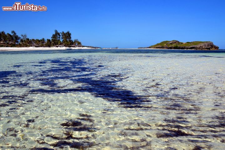 Immagine Kenya: il Watamu Marine National Park & Reserve. Fondato nel 1968, comprende le acque delle diverse baie di Watamu, dove vivono oltre 600 specie ittiche.