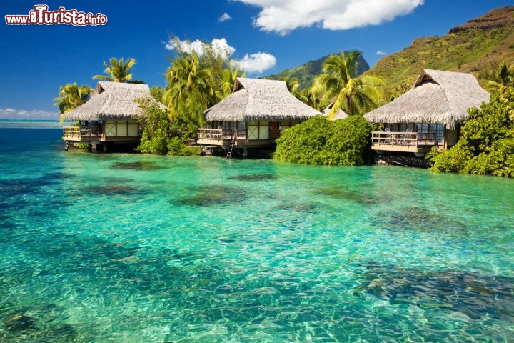 Immagine Bora Bora, Polinesia Francese: i bungalows di un resort sbucano dalla vegetazione tropicale e si affacciano proprio sulle acque turchesi del Pacifico, all'interno della laguna - © Martin Valigursky / Shutterstock.com