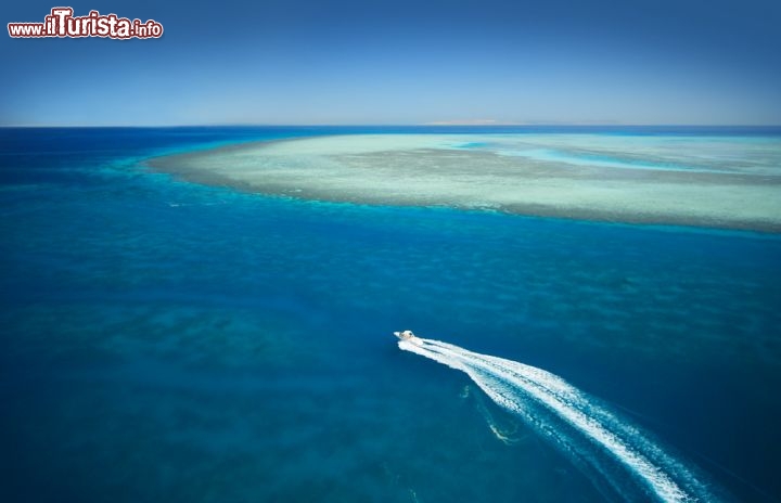 Immagine La barriera corallina del Mar Rosso offre splendidi luoghi per immersioni e snokeling al largo di El Gouna in Egitto - © Nneirda / Shutterstock.com