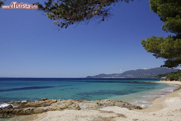 Le foto di cosa vedere e visitare a Rayol-Canadel-sur-Mer