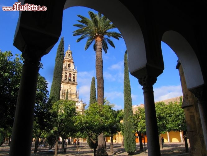 Immagine Dentro il cortile della Mezquita di Cordova in Andalusia (Spagna): la coorte interna della Cattedrale di Cordoba prende il nome di Patio de los Naranjos - © @cam / Shutterstock.com