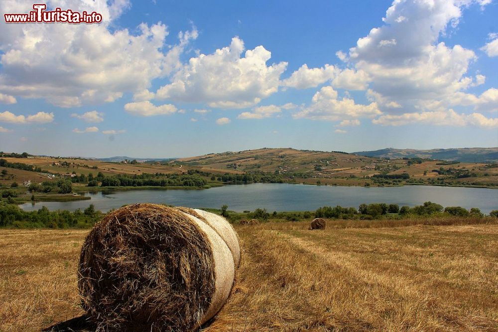 Immagine Foto del Lago Pantano a Pignola, Riserva Regionale Oasi WWF Di Roronoa89 - Opera propria, CC BY-SA 4.0, Collegamento