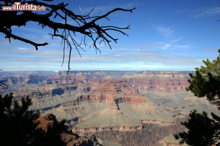 Immagine Foto panoramica del Grand Canyon del Colorado: ci troviamo a Yavapai Point, in Arizona - © Ivan Sgualdini / Shutterstock.com