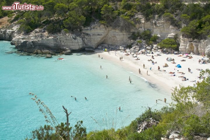 Immagine Cala Mitjana, lungo la costa meridionale di Minorca (Baleari, Spagna), è una spiaggia di sabbia bianca comodamente raggiungibile in auto, mediante la strada che unisce Ferreries a Cala Galdana... a meno che non vogliate fare una bella passeggiata di 1,5 km direttamente da Cala Galdana, lungo il Camì de Cavalls - © oreundici / Shutterstock.com