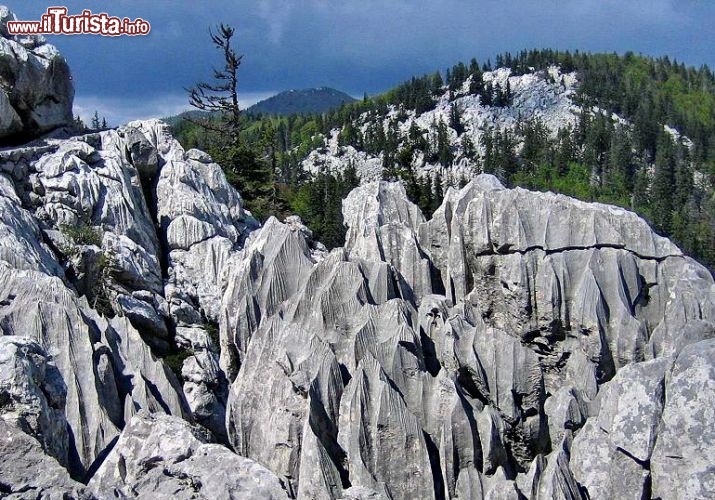 Immagine Il parco Nazionale di Sjeverni Velebi, ci troviamo nella Regione di Lika-Senj in Croazia