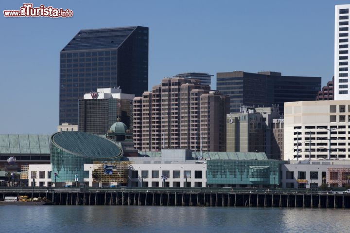 Immagine Foto panoramica di New Orleans, Louisiana - Nouvelle Orléans in francese, questa bella località degli Stati Uniti che sorge sulle rive del Mississipi a 170 km dal Golfo del Messico prende il nome dalla località francese situata sul fiume Loira. Conosciuta in tutto il mondo per la sua architettura creola e per il jazz che qui vi veniva e viene tutt'oggi suonato in ristoranti e locali, soprattutto nel nucleo storico rappresentato dal quartiere francese, è anche un importante centro industriale nonchè porto marino  - © Aneese / Shutterstock.com