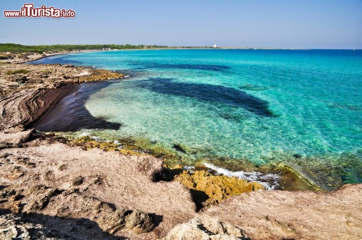 Le foto di cosa vedere e visitare a Gallipoli