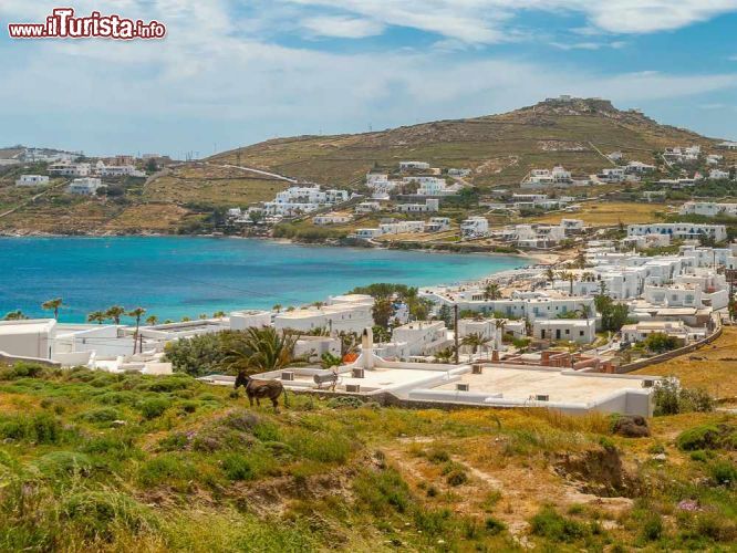 Immagine La baia della spiaggia di Ornos: siamo sull'isola di Mykonos in Grecia- © imagIN.gr photography / Shutterstock.com